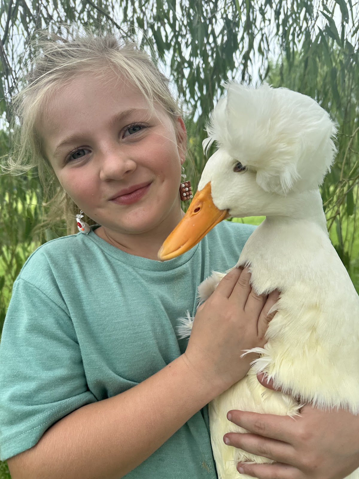 White Crested Duckling