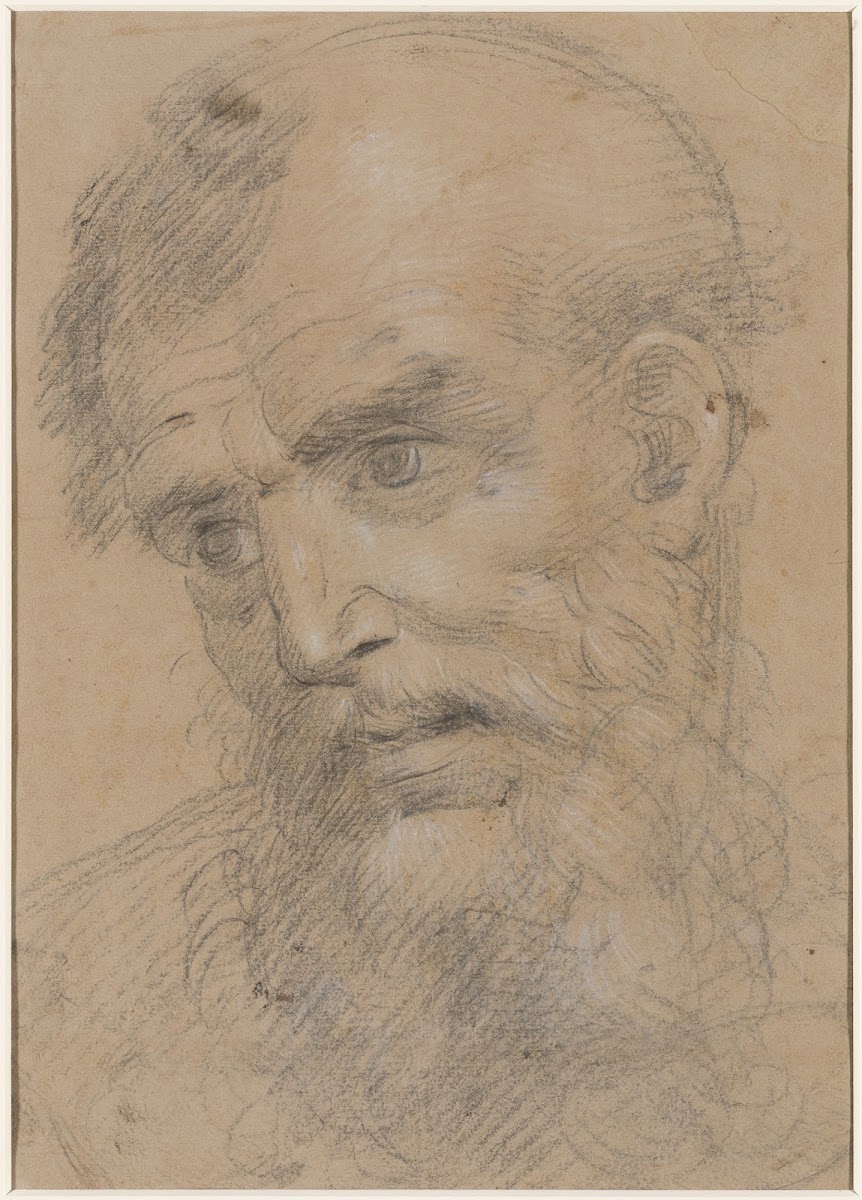 Head of a Bearded Saint c 152022