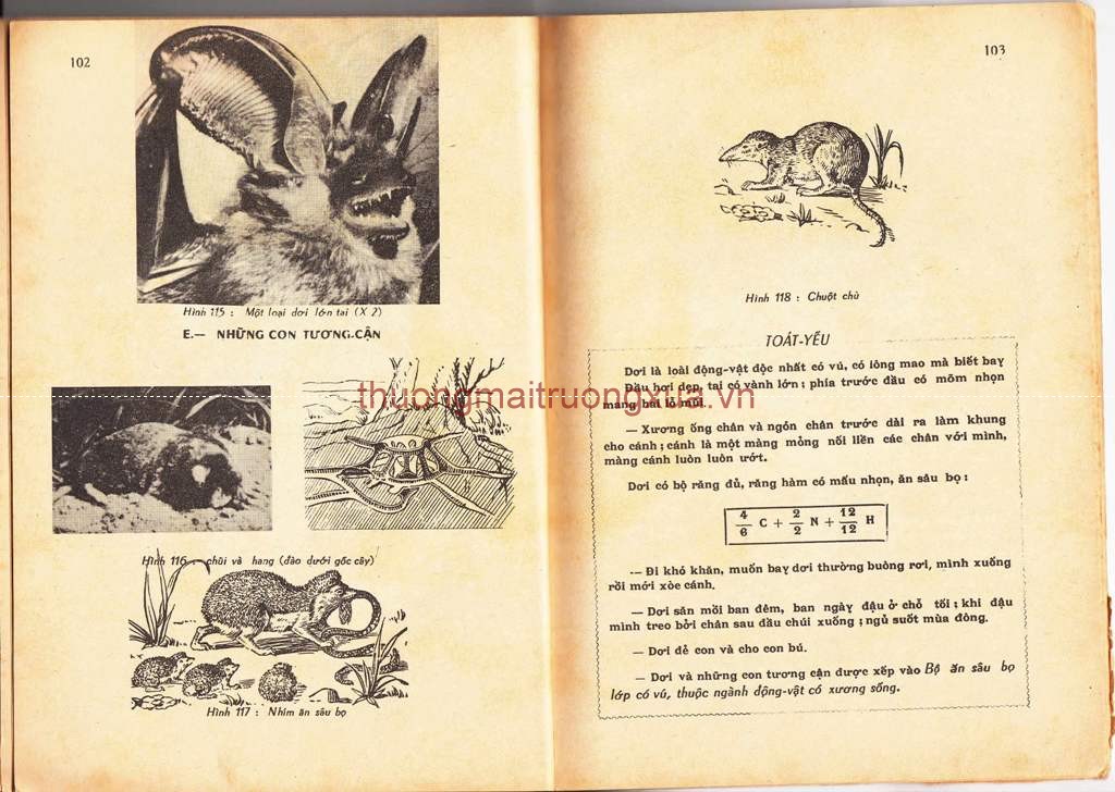 Báo : Hoa học trò (số 86 - 1995) - Trang 52