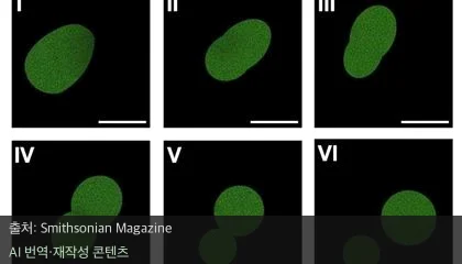 인공 세포 - 먹고 자라는 인공 세포 탄생, 생명 창조의 첫걸음일까?