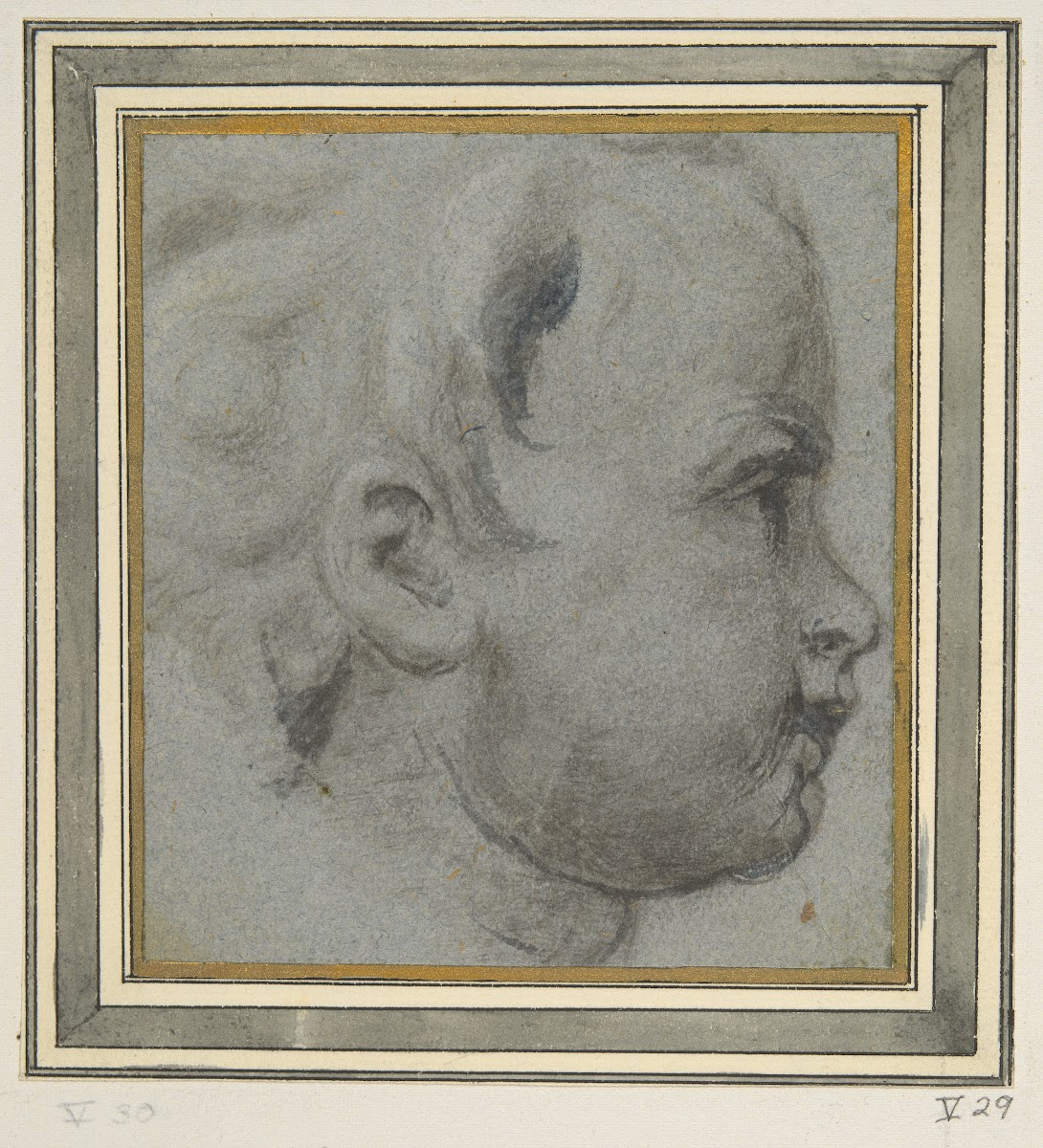 Head Of APutto 17thcentury