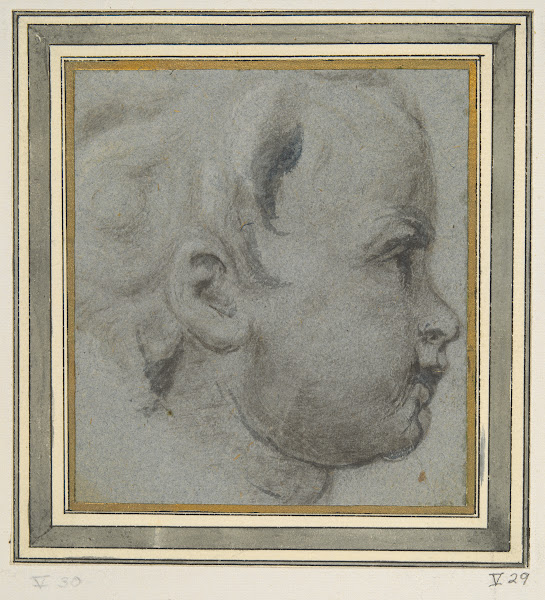 Head Of APutto 17thcentury
