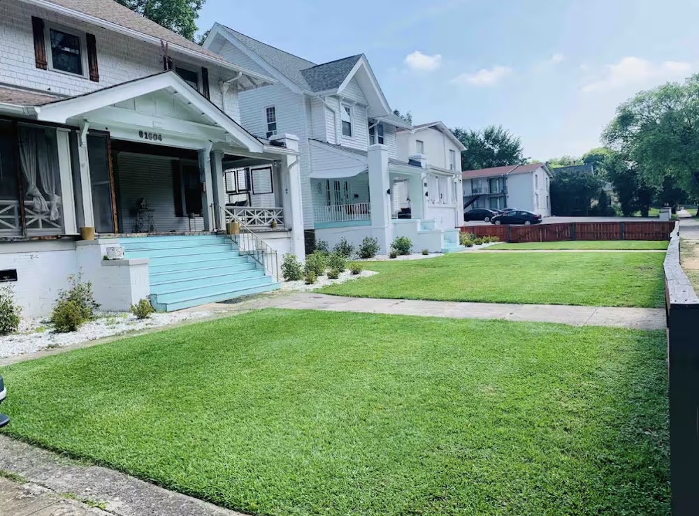 The Estate — The Estate