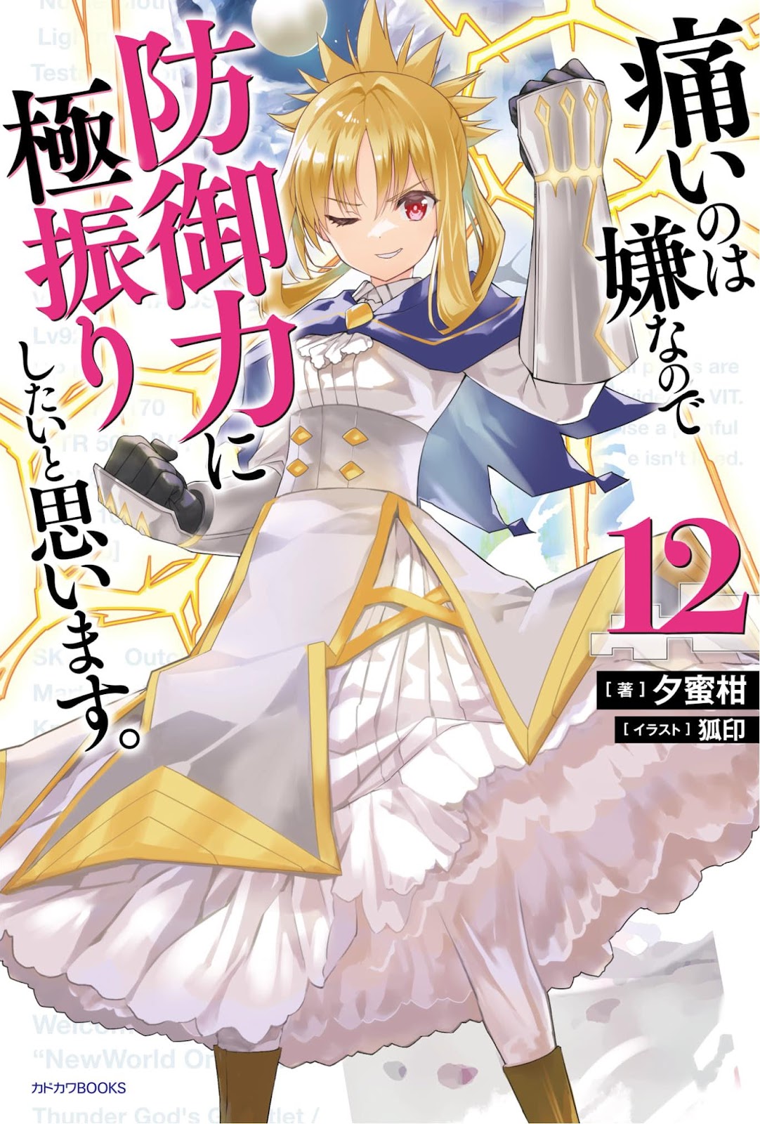 Bofuri 12_002