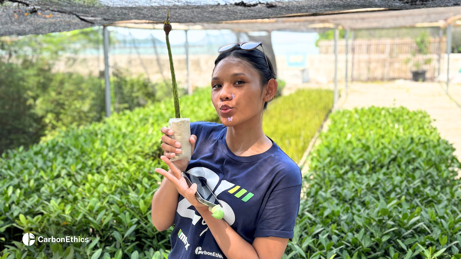 MIFX team member smiling and holding a mangrove seedling in a nursery area, surrounded by rows of young plants.