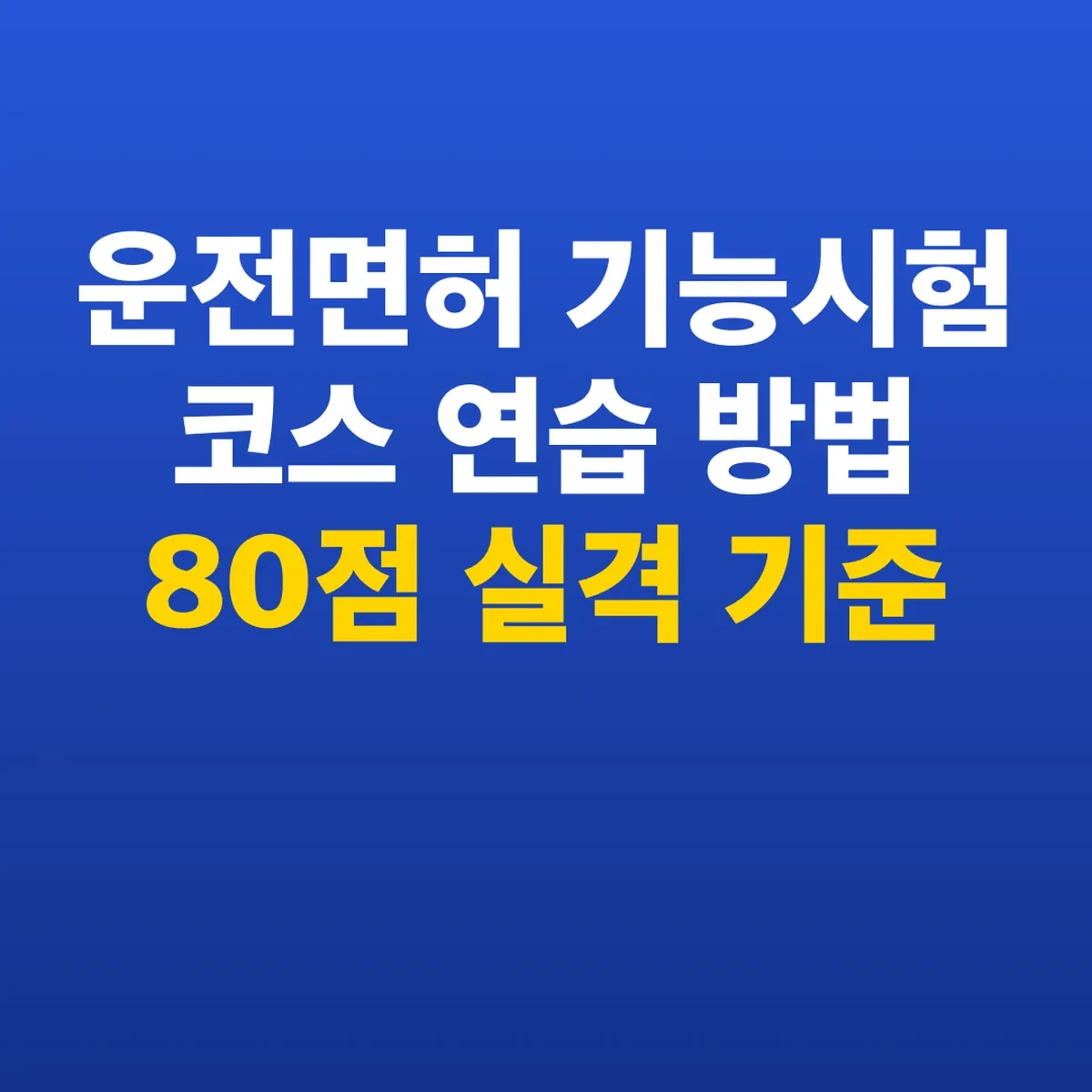 운전면허 기능시험 코스 연습 방법 80점 실격 기준