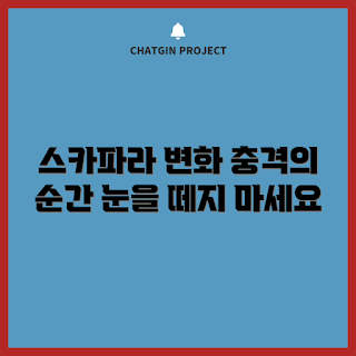 스카파라, 스카파라 변화, 스카파라 리뷰, 스카파라 트렌드, 스카파라 특징