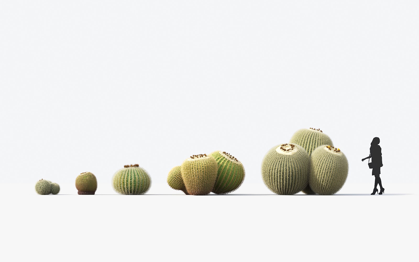 Maxtree - Plant Models Vol.17
