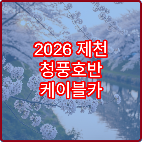 2026 제천 청풍호반 케이블카 벚꽃 뷰 좌석 예약 꿀팁