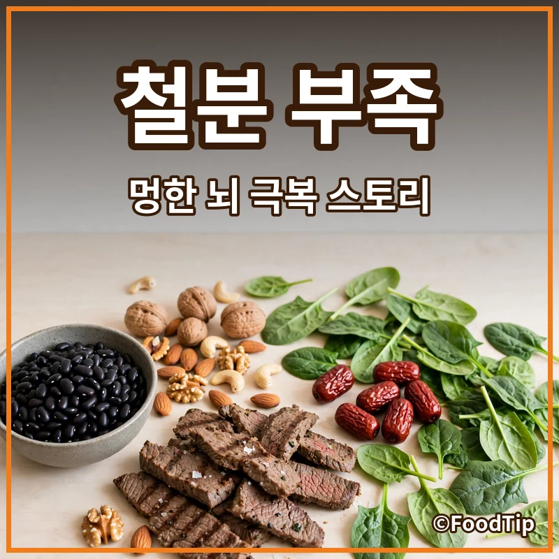 성인 ADHD인 줄 알았는데... '철분 부족'이 만든 멍한 뇌, 극복 스토리