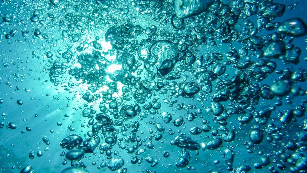 DFS와 BFS 탐색 알고리즘의 구조적 차이와 적용 분야