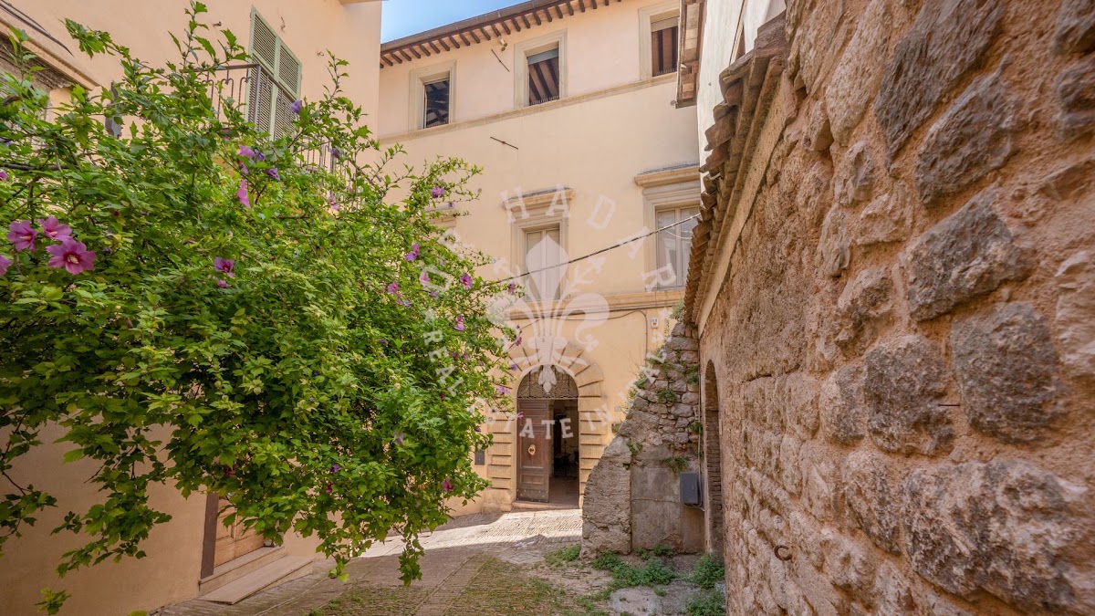 פאלאצו פטרוני (Palazzo Petroni) — 3