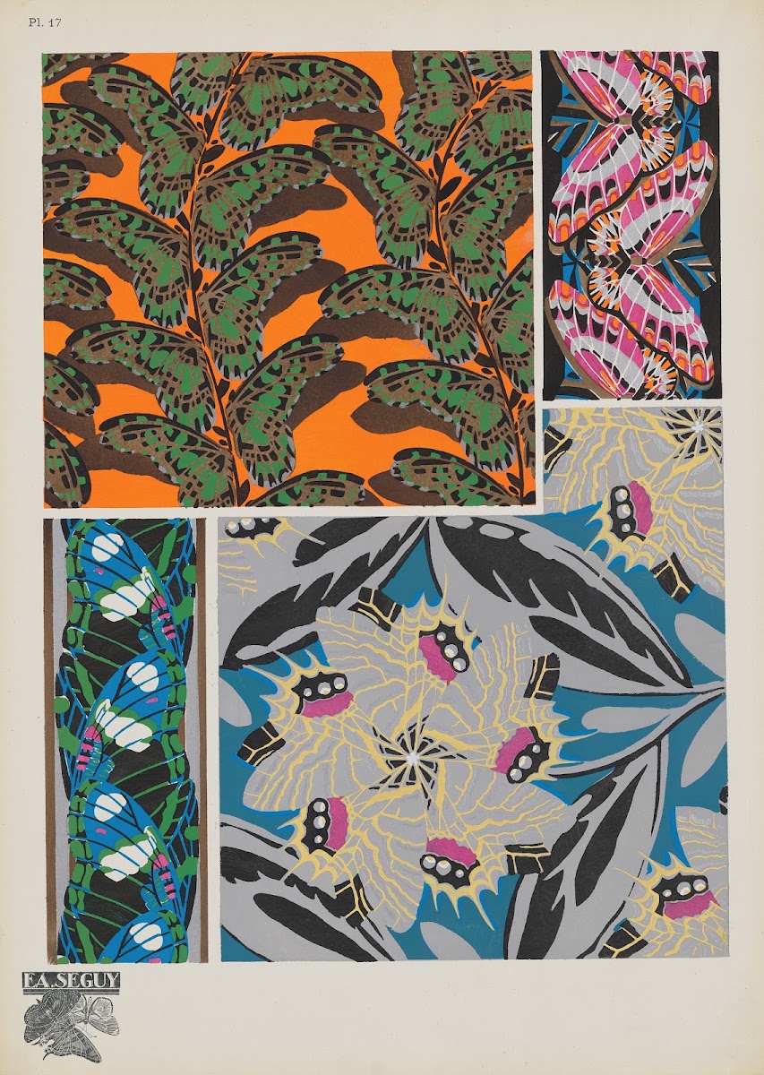 Papillons Pl17 1920