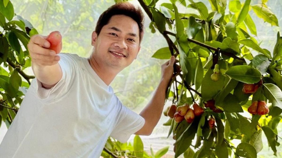 Nam diễn viên từ chức Phó Giám đốc về quê làm nông ở diện tích 3.000m2 - Báo VietnamNet
