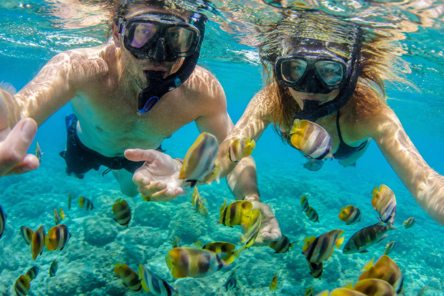 snorkeling trip