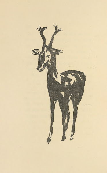 Histoires naturelles Pl 46 1922