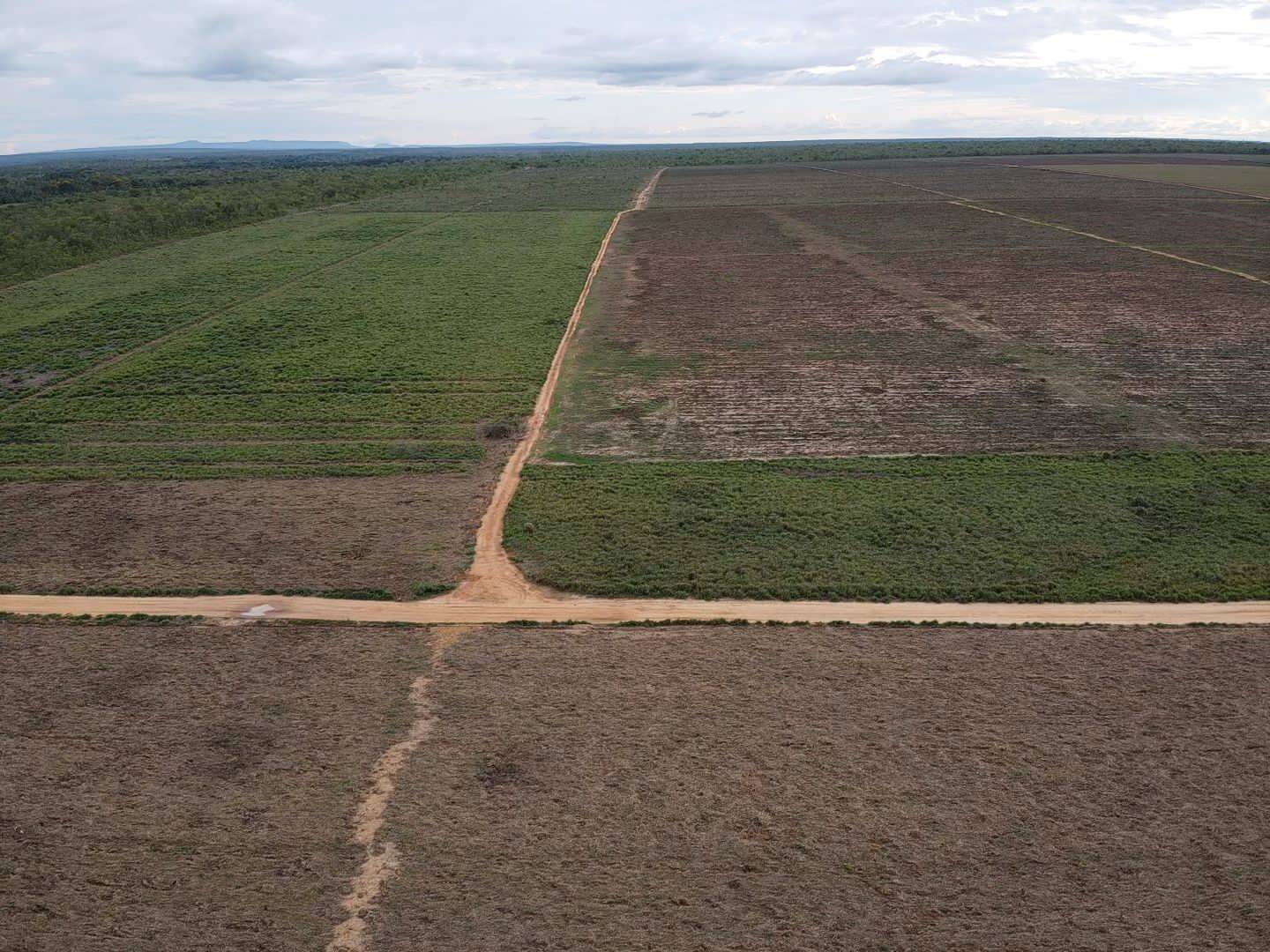 Fazenda em Miracema - TO 7