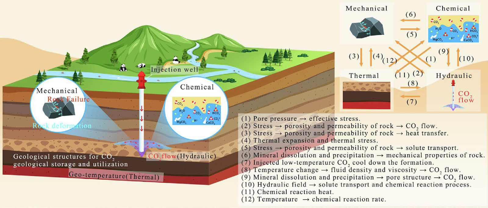 Advances in thermo-hydro-mechanical-chemical modelling for CO2 geological storage and utilization