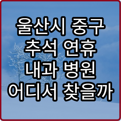 울산시 중구 추석 연휴 내과 병원 어디서 찾을까