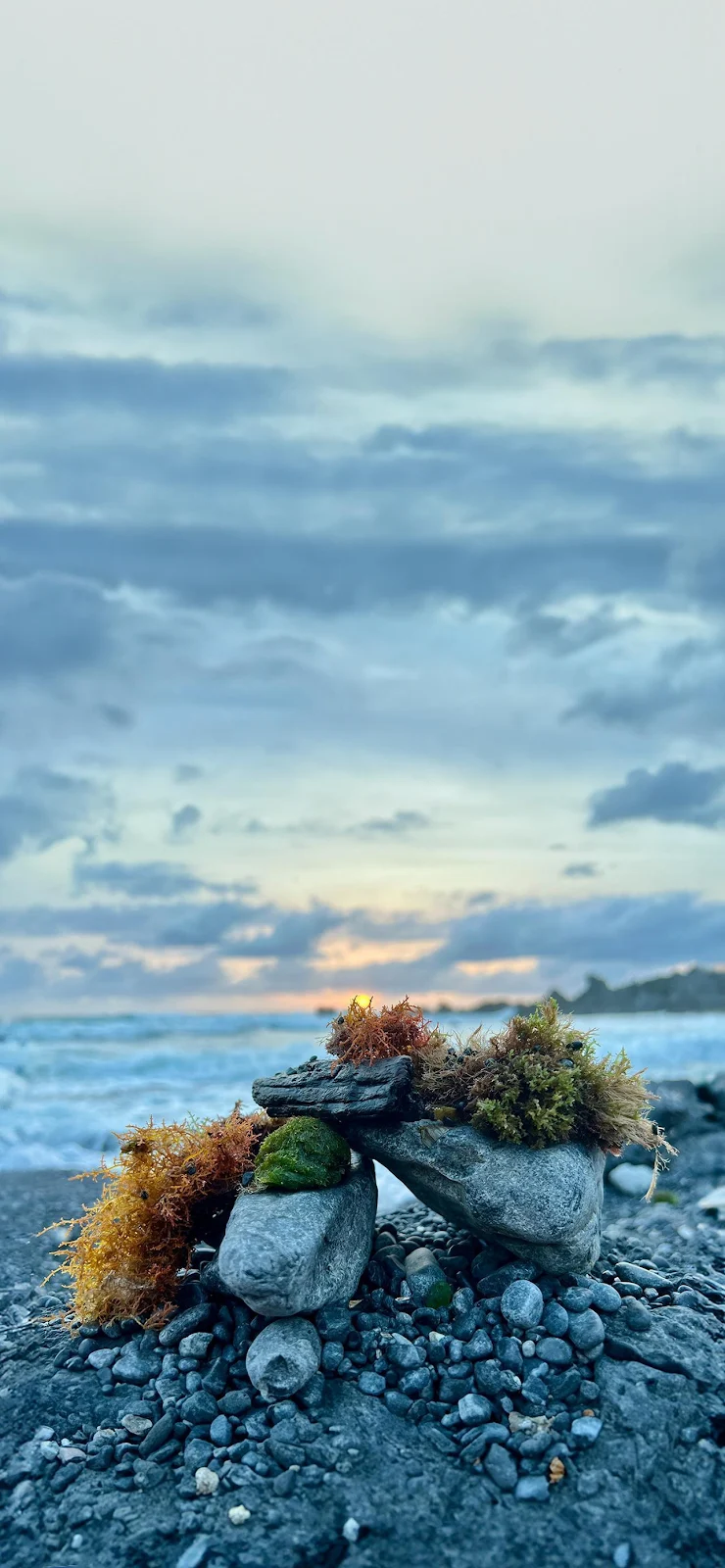 Small Rocks With Seaweed On Beach - Nature Photography Full HD iPhone Wallpaper (1284x2778)