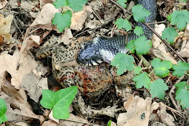 Gambar Ilustrasi Artikel