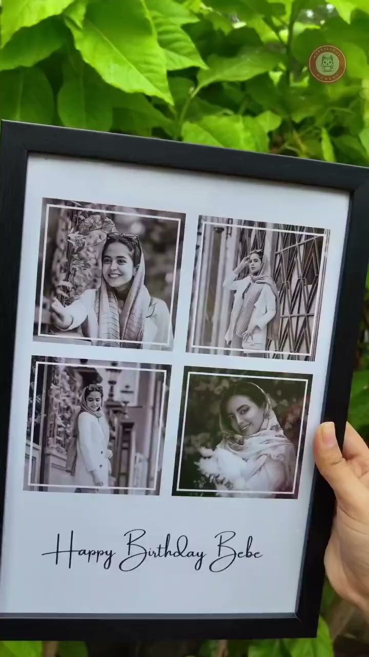 Vintage Royal Frame #9