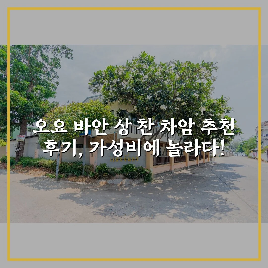 오요 바안 상 찬 차암 추천 후기, 가성비에 놀라다!