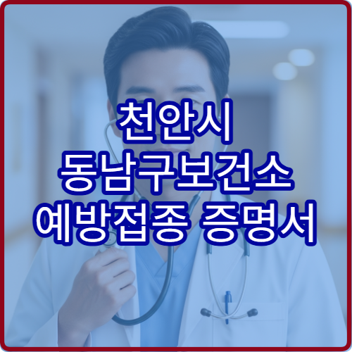 천안시 동남구보건소 예방접종 증명서 발급 방법 정리