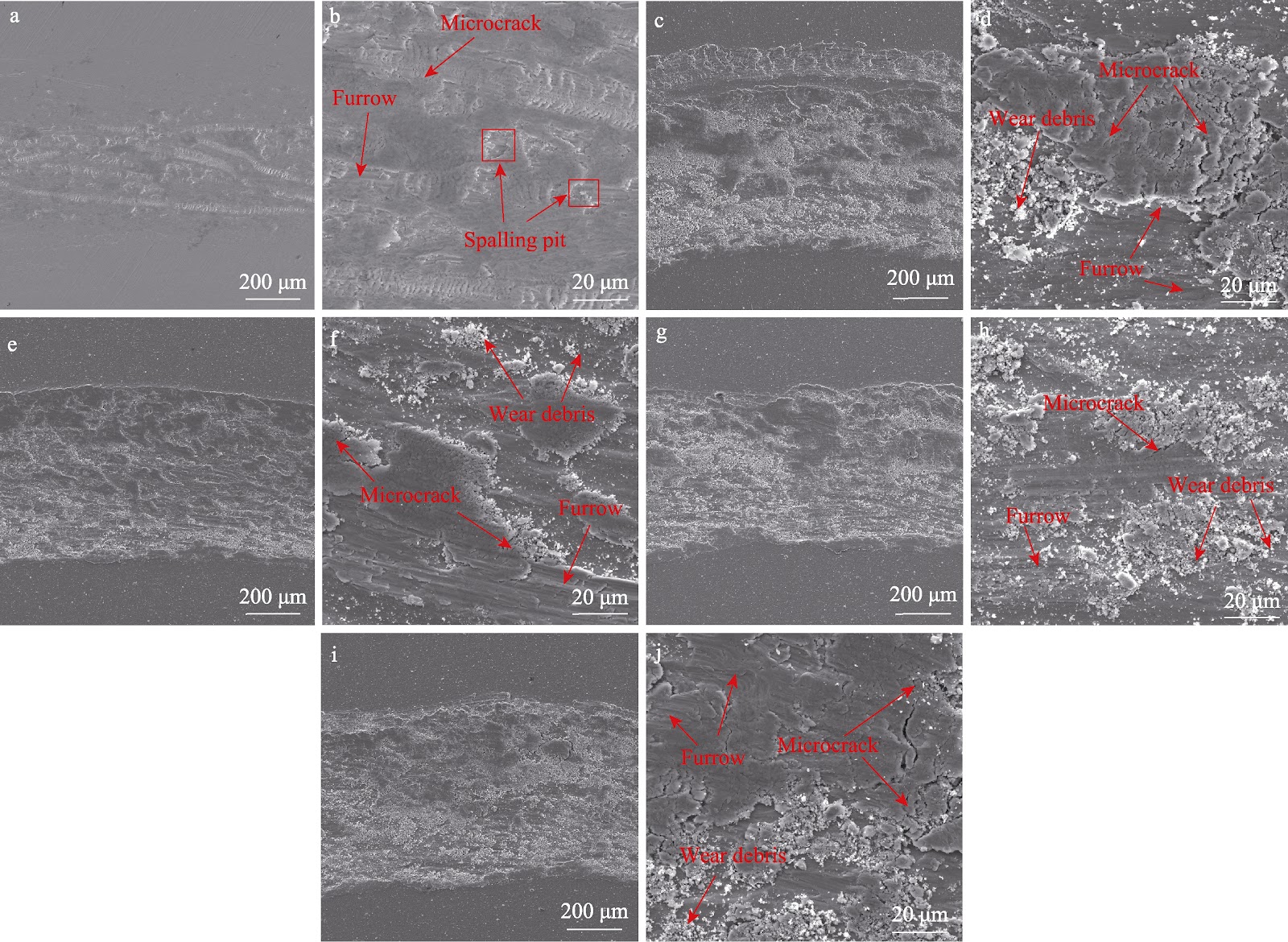 Effect of Target Magnetic Field Intensity on the Microstructure and Properties of Arc Ion Plated Cr Coatings
