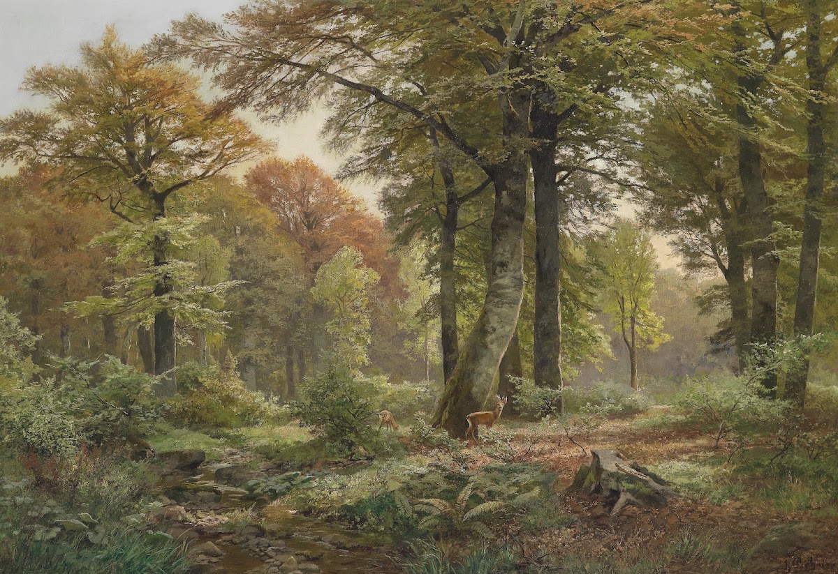 Waldlichtung mit Rehwild