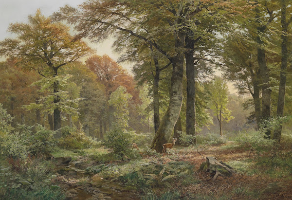 Waldlichtung mit Rehwild