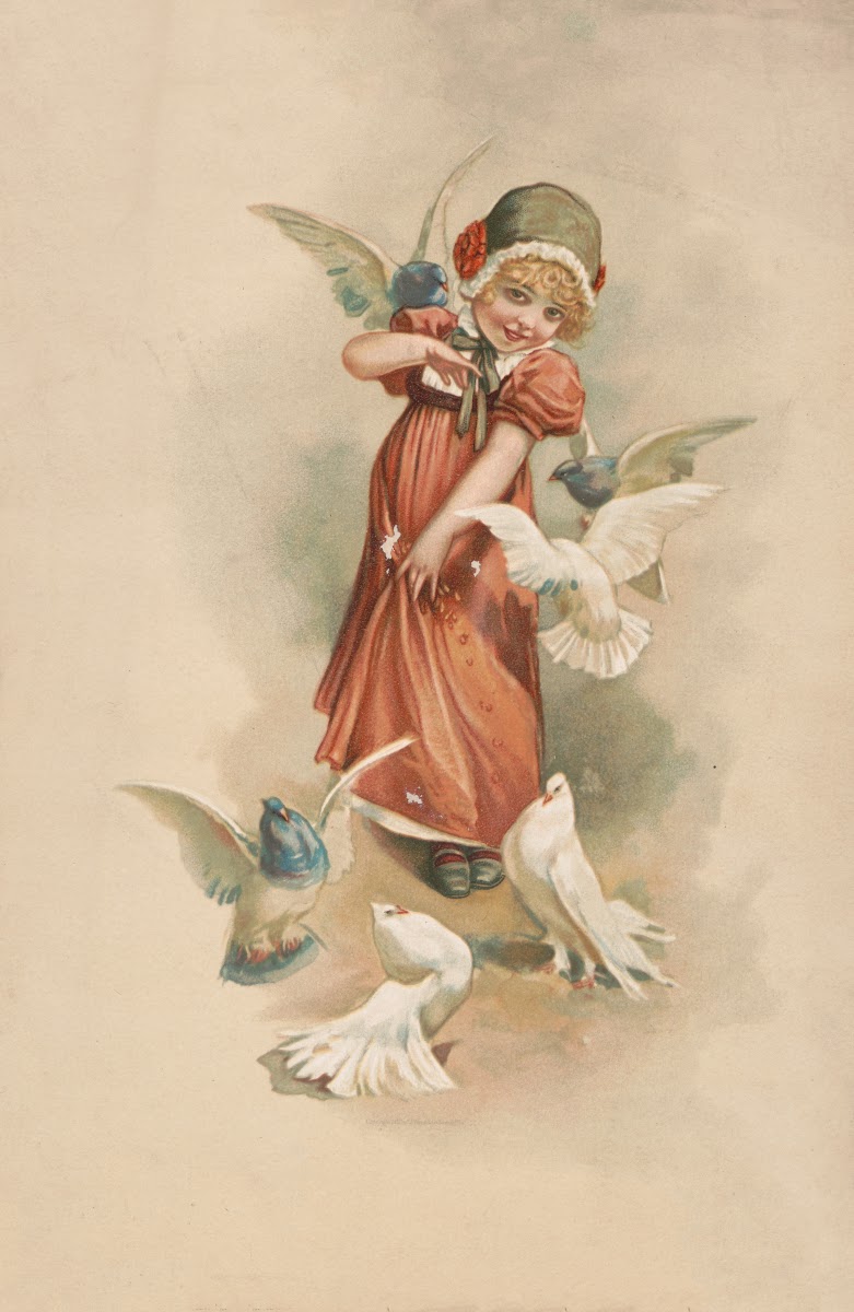 Doves 1893