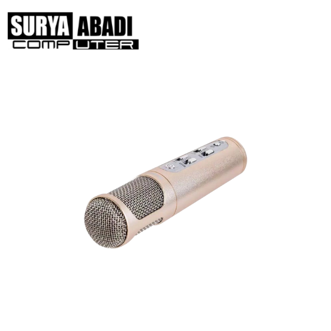 MIC REMAX K02