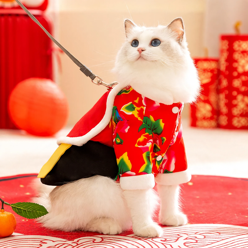 Wattierte Winterkleidung für Katzen und Hunde