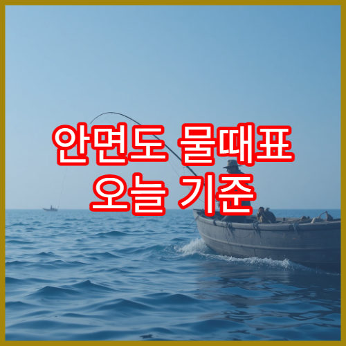 안면도 물때표 오늘 기준 서해 해루질 포인트와 조수시간 안내