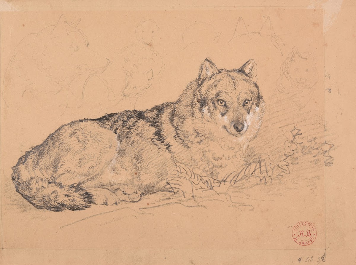 Le Loup ca 1850