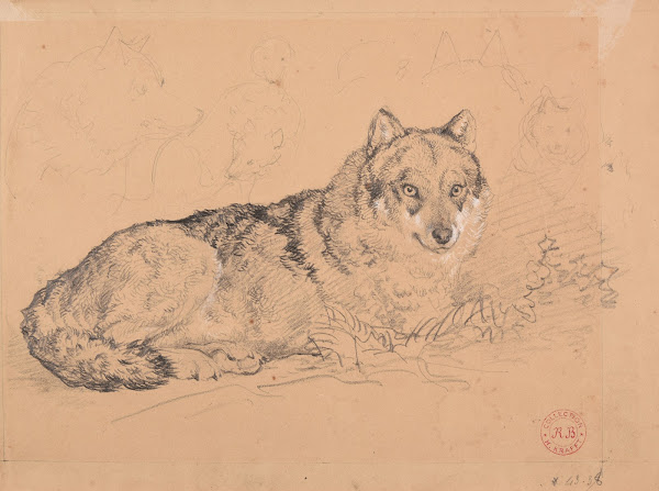 Le Loup ca 1850