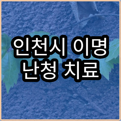 인천시 이명 난청 치료 잘하는 이비인후과 병원 찾기