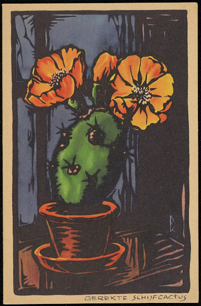 Gerekte Schijfcactus 1906