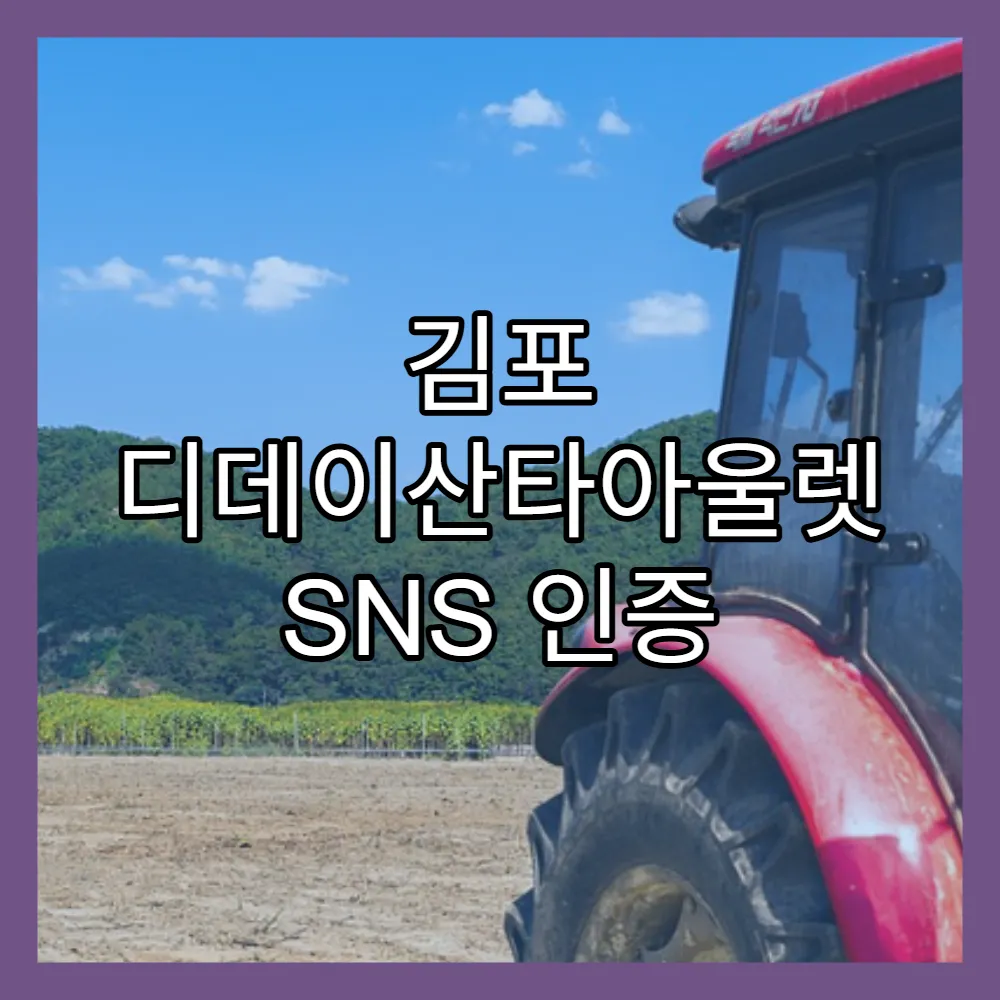 김포 디데이산타아울렛 SNS 인증 인기템(+추천 이유, 베스트 리뷰)
