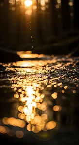 Golden Sunlight Reflection Bokeh on Dark Water Surface