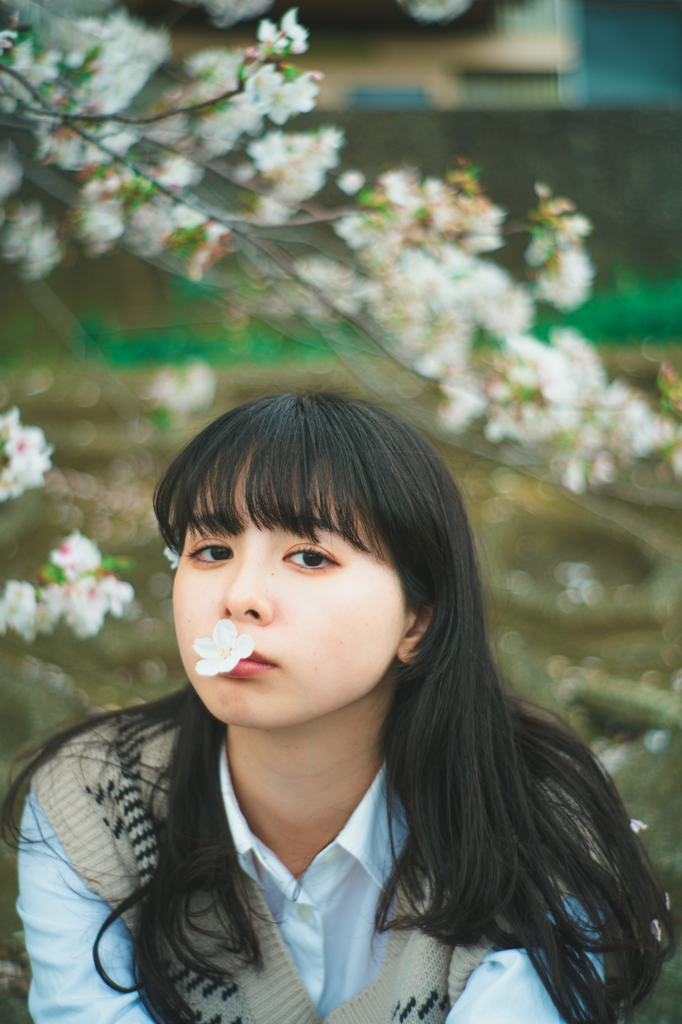 Portrait — Makino Shota