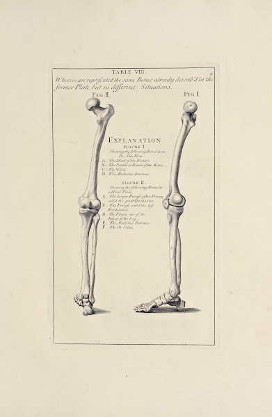Anatomy improvd and illustrated with regard to the uses thereof in designing Pl0