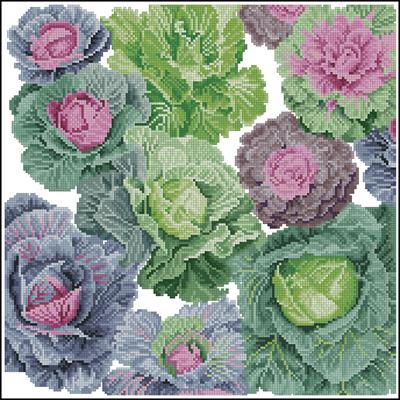 CMP 330155 Cabbages Pillow
