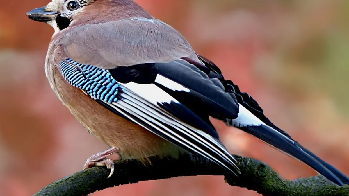 간수치 ALT와 AST 상승 원인별 맞춤 식품과 관리법