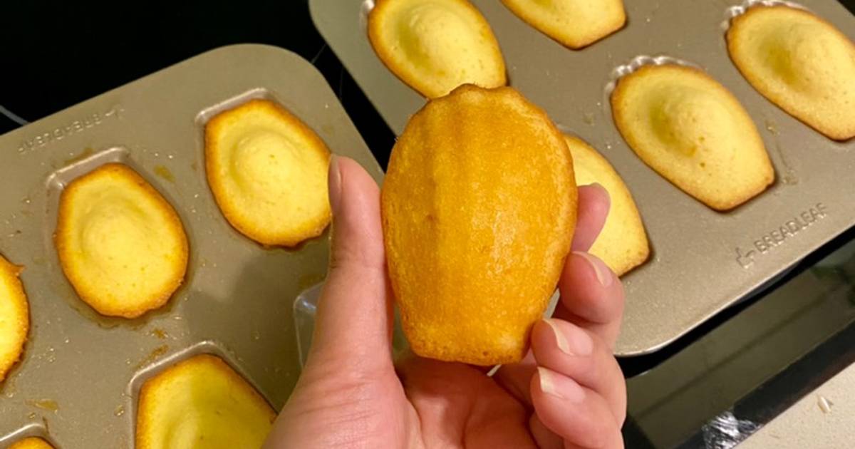 Bánh con sò