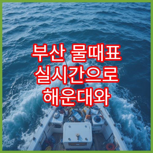 부산 물때표 실시간으로 해운대와 다대포 바다타임 확인