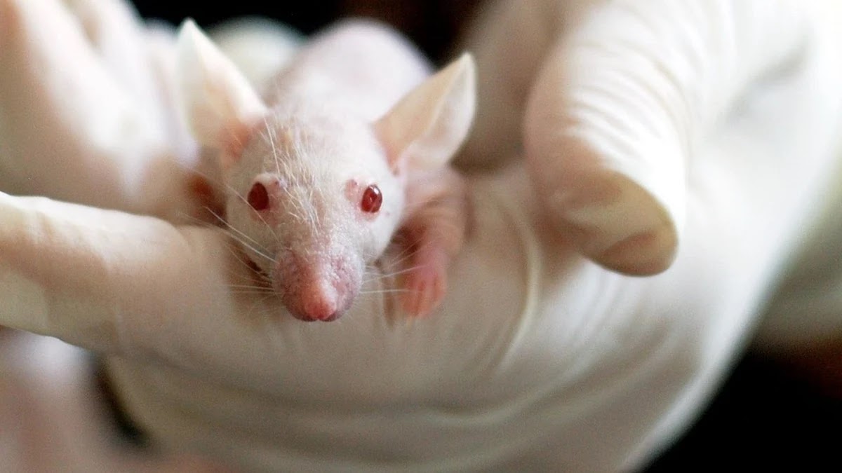 배당 ETF 선택 시 월배당과 분기배당 구조 차이 이해하기