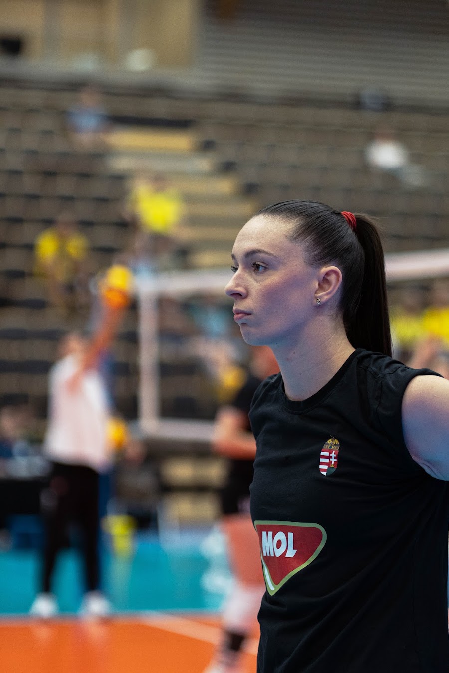 Sweden Hungary 53