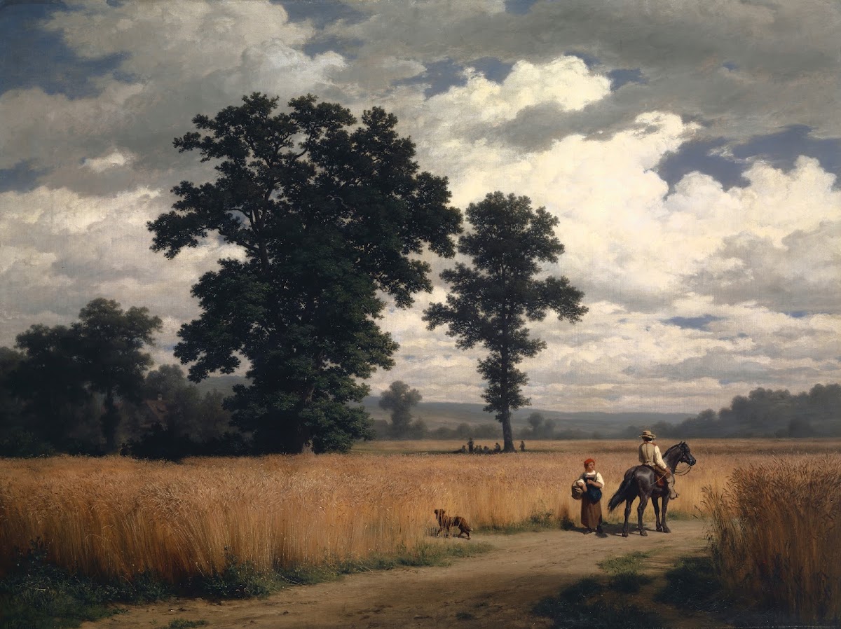 Grain Harvest
